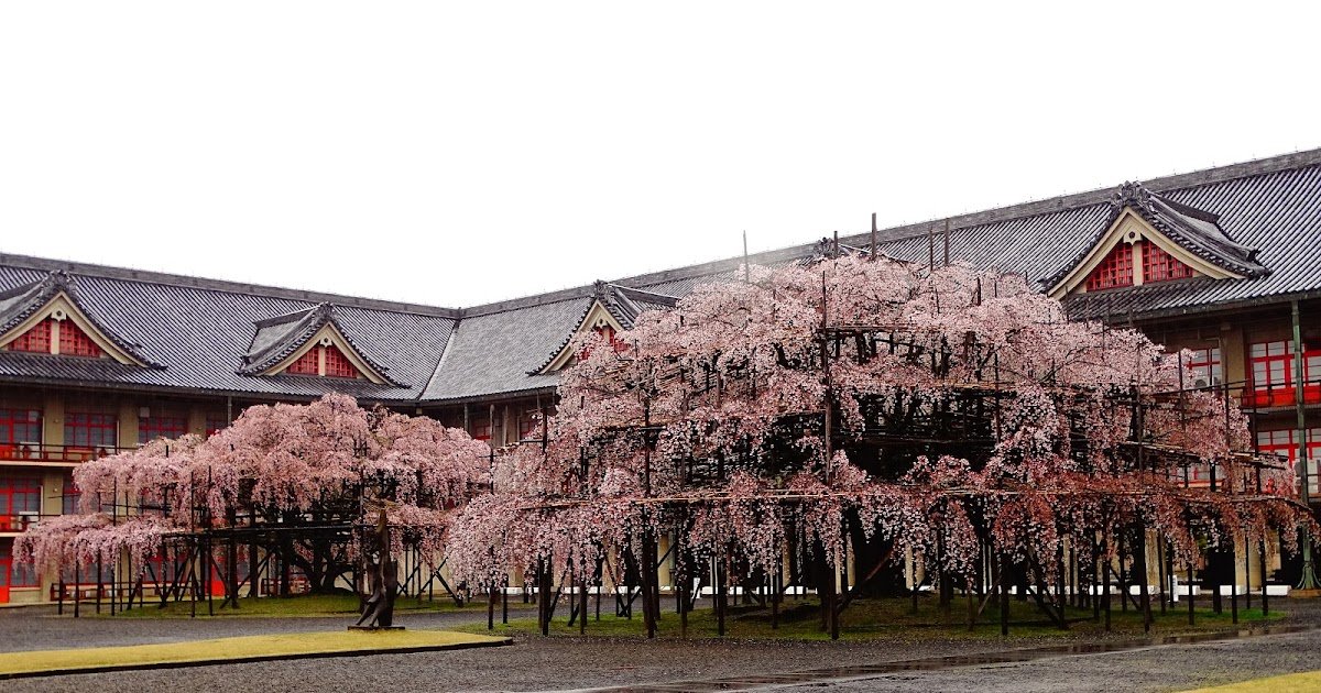🏛️ 천리교 교회본부 (신전) (텐리쿄 쿄카이혼부 (신덴)) 이미지 5